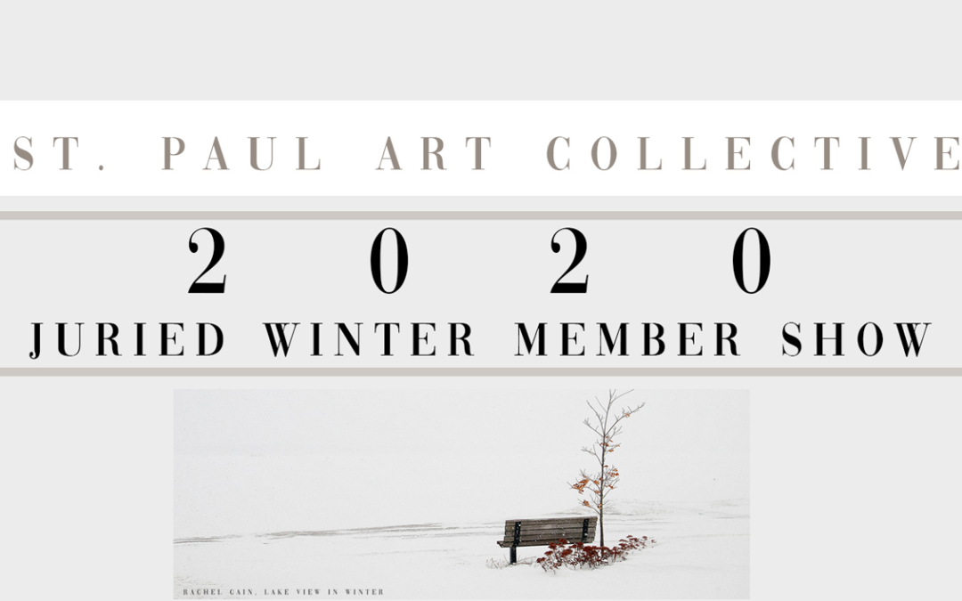 St. Paul Art Collective annual juried member art exhibit at The Show Gallery from Feb 6th-28th
